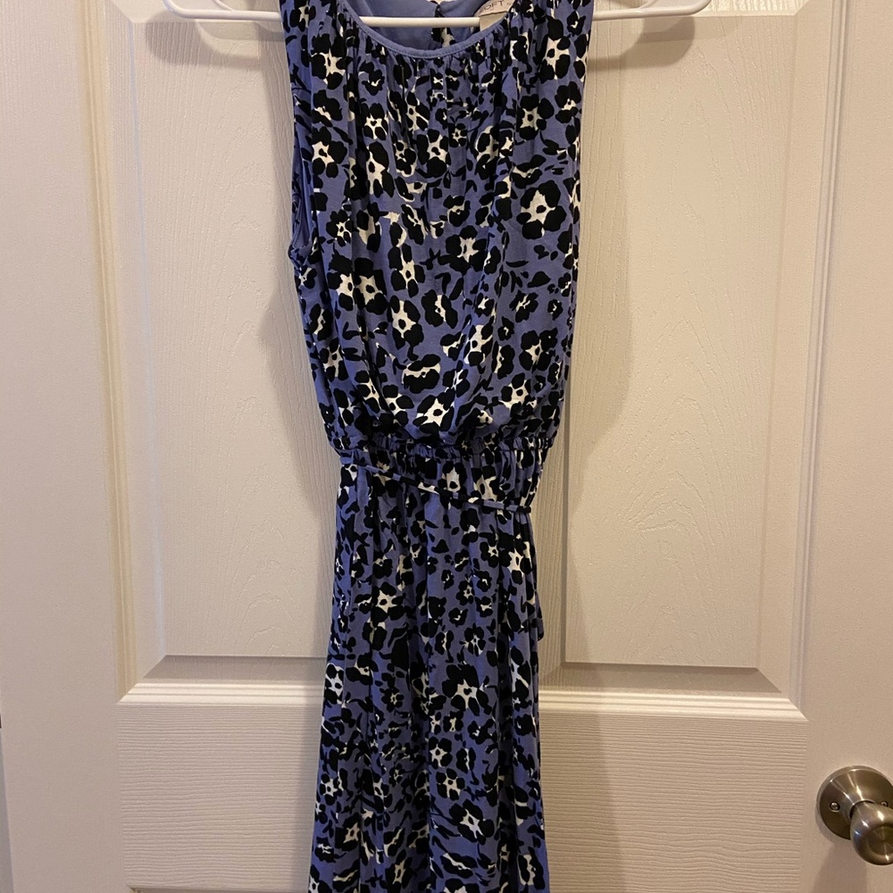 Ann Taylor Loft Dress